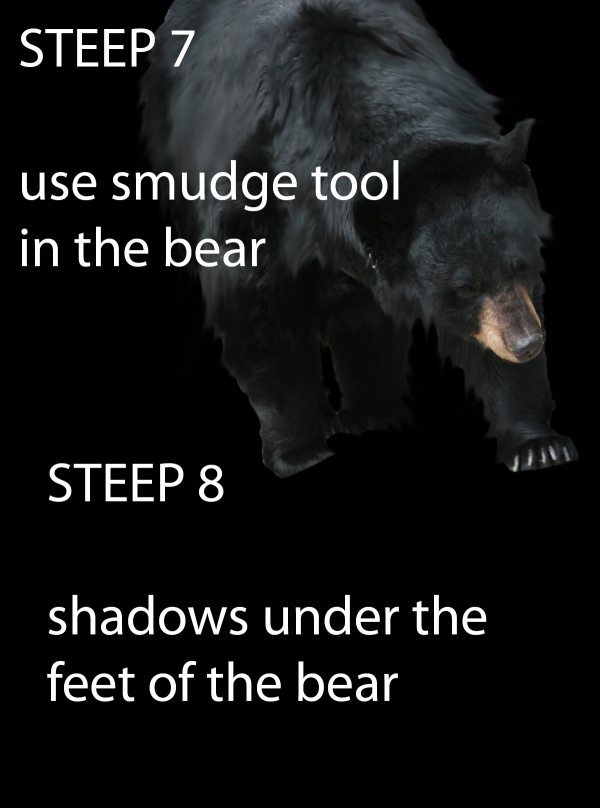 Creation of THE BEAR: Step 4